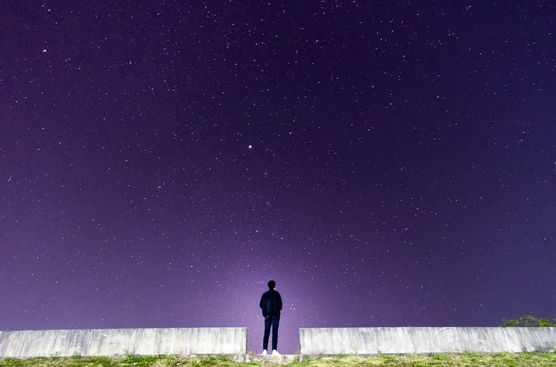 Starry Portraits